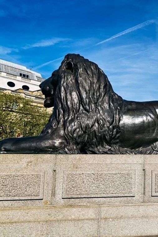 explore-london-cenotaph-and-buckingham-palace