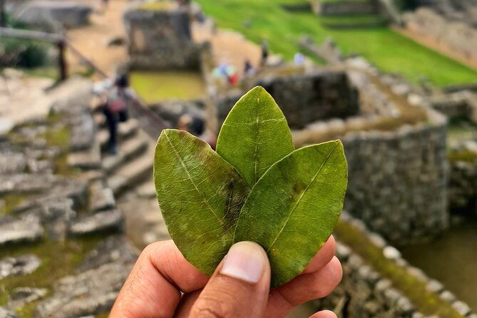 explore-machu-picchu-in-one-day-panoramic-360-luxury-train