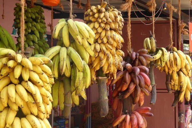 Explore Madurai's Rich Culture: Private Car & Guided Tour - Who Should Book This Tour?