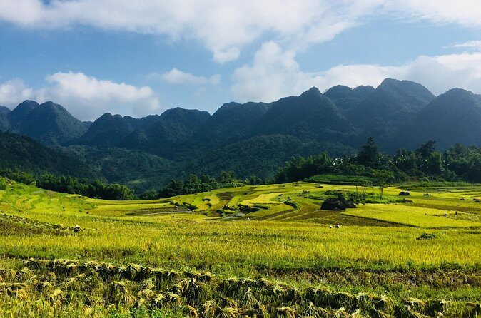 Explore Mai Chau - Pu Luong - Ninh Binh 4 Days / 3 Nights - FAQs
