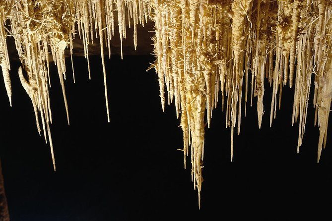 explore-mallorca-majorica-pearl-shop-and-caves-of-drach