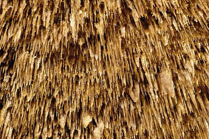 explore-mallorca-majorica-pearl-shop-and-caves-of-drach