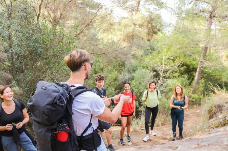 explore-marbellas-nature-guided-hiking-and-foraging-trip