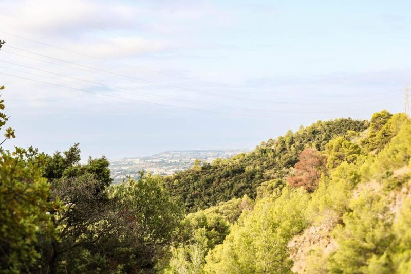 explore-marbellas-nature-guided-hiking-and-foraging-trip