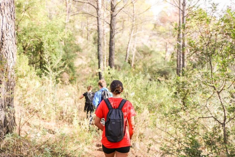 explore-marbellas-nature-guided-hiking-and-foraging-trip