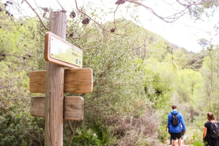 explore-marbellas-nature-guided-hiking-and-foraging-trip