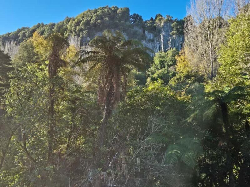 Explore Middle-Earth: Caves to Cinematic Landscapes - Key Points  