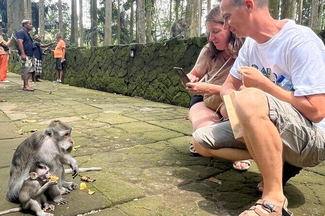 Explore Monkey Forest Ubud Rice Terrace Waterfall and more - FAQ