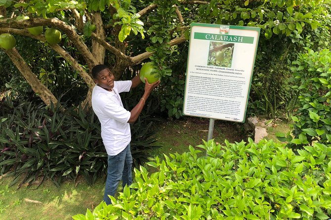 explore-montego-bay-jamaica-private-tour-to-green-gratto-cave