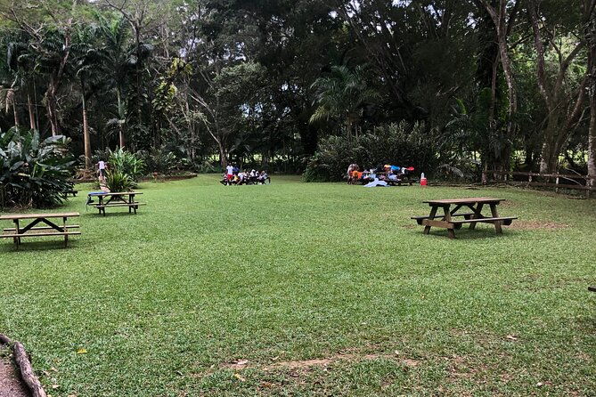 explore-montego-bay-jamaica-tour-from-montego-bay-to-y-s-falls