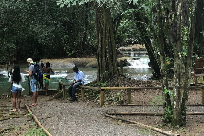 explore-montego-bay-jamaica-tour-from-montego-bay-to-y-s-falls