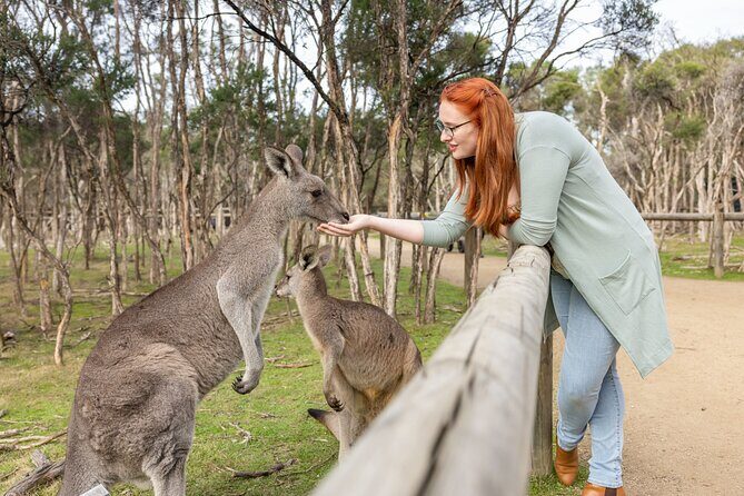 Explore Mornington Wildlife Wine and Hot Springs - Final Thoughts: Is It Worth It?
