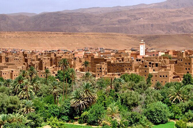 Explore Morocco In a Private Tour that Fits Your Needs - The Desert: From Cedar Forests to Sand Dunes