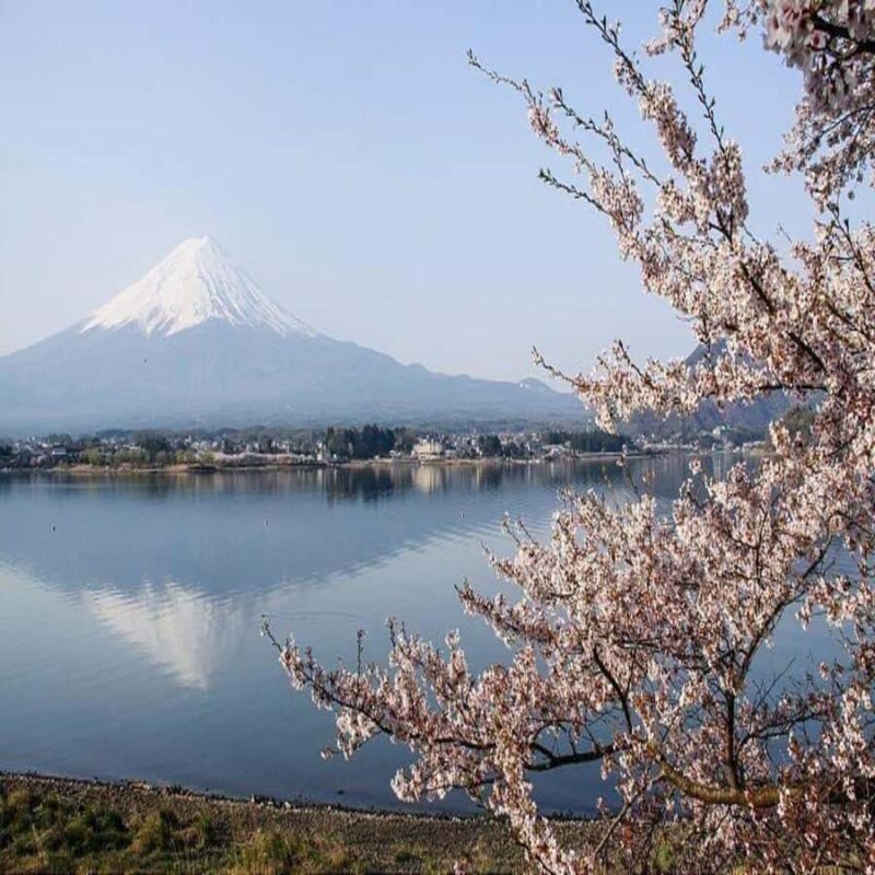 Explore Mount Fuji: Private Tour with English Guide - Who Will Love This Tour?