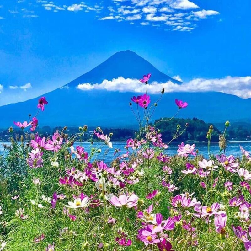 Explore Mount Fuji: Private Tour with English Guide - FAQ