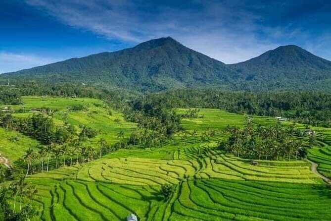Explore Munduk Customized 8 Hour Day Tour in North Bali - A Detailed Look at the Munduk Customized 8-Hour Tour