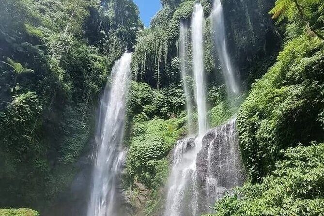 Explore Munduk Customized 8 Hour Day Tour in North Bali - The Sum Up