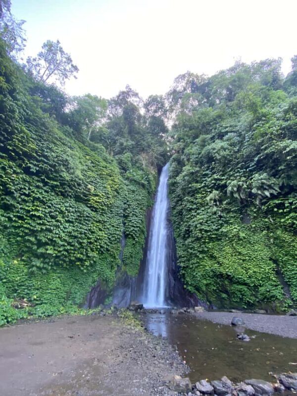 Explore Munduk Customized 8 Hours Day Tour In The North Bali - Who Is This Tour Best For?