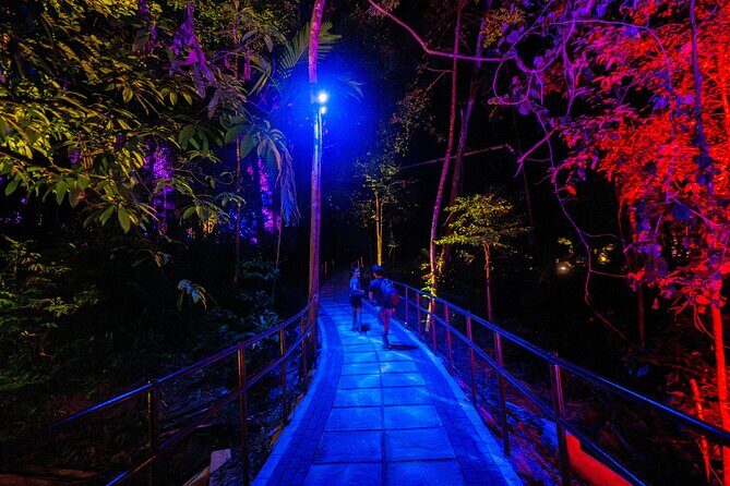 Explore Mystical Wonderland of Dream Forest Langkawi with Pickup - Who Would Love This Tour?