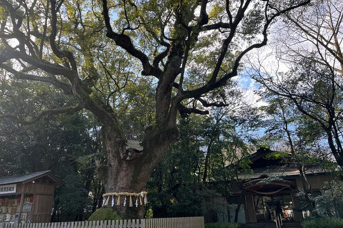 explore-nagoya-private-customizable-tour