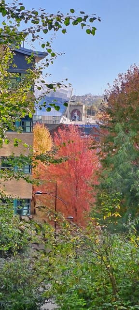 explore-newcastle-2-hour-city-tours-in-italian-or-english