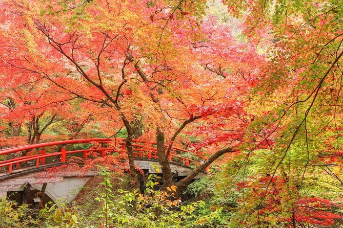 explore-ninja-town-walking-in-gunma-from-tokyo