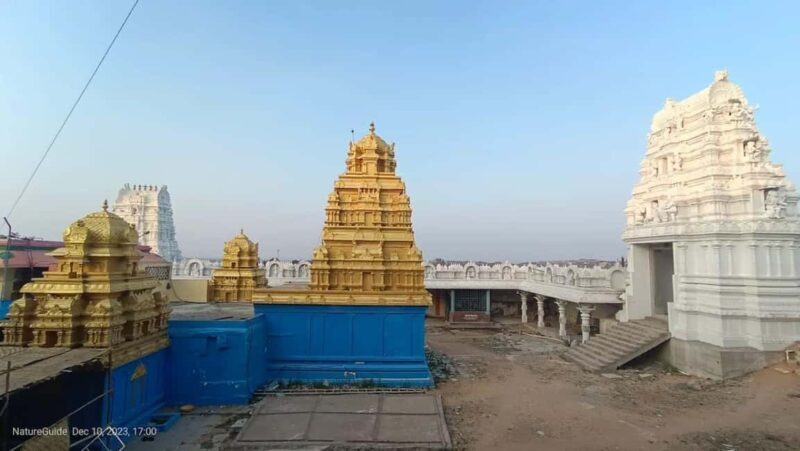 Explore Nizamabad: A Compact Half-Day Adventure Tour - Who Should Consider This Tour?