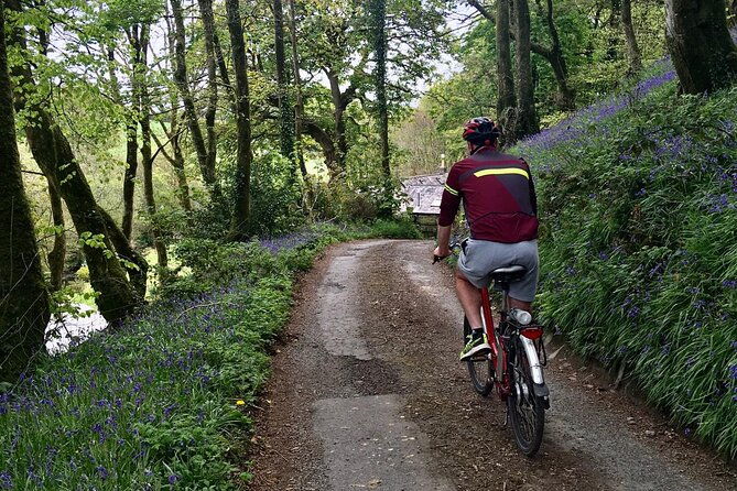 explore-north-cornwall-on-electric-bikes