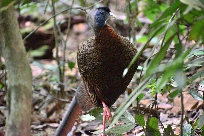 Explore North Sumatera: 7 Days Tour Adventure (Min. for 2 people) - An In-Depth Look at the 7-Day North Sumatera Tour