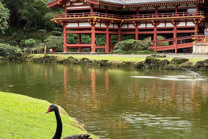 explore-oahu-island-with-a-friendly-local-in-a-small-group