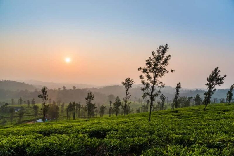 Explore Old Madikeri (Coorg): Guided Walking Tour by Foot - Key Points