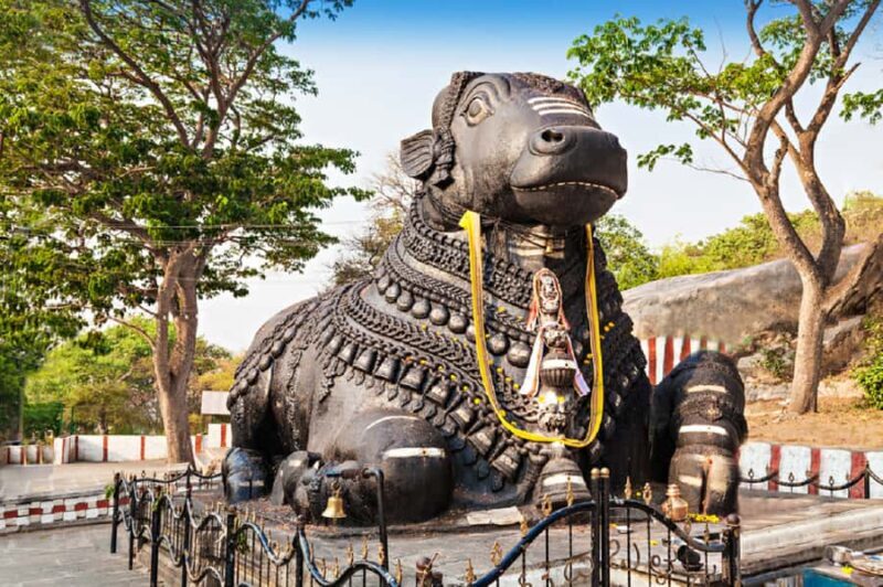 Explore Old Mysore City: Guided Walking Tour by Foot - What to Bring & Considerations