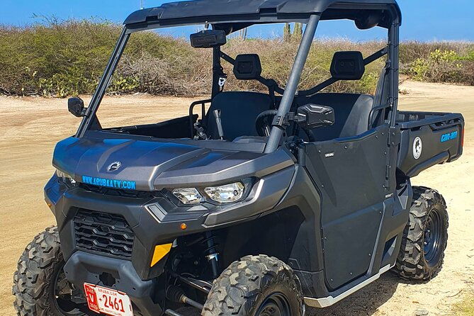 explore-on-your-own-8-hour-rental