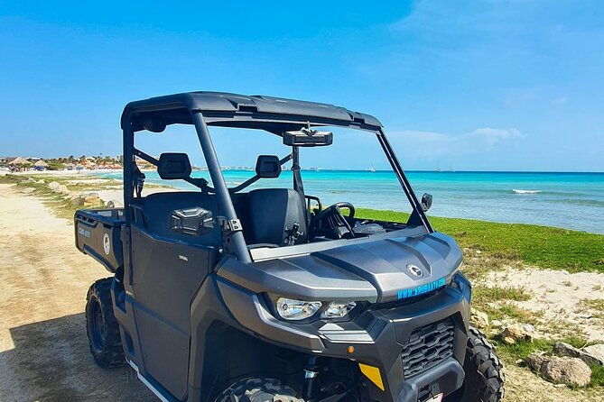 explore-on-your-own-8-hour-rental