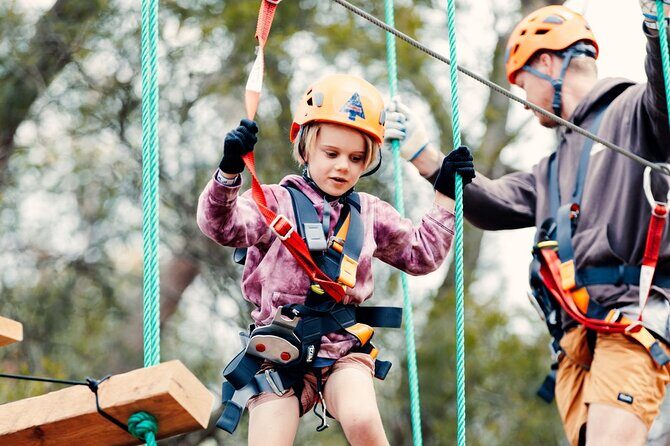 Explore Ourimbah State Forest Junior Tree Ropes Course - The Overall Value and Pricing