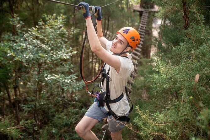 Explore Ourimbah State Forest Tree Ropes Course - Key Points