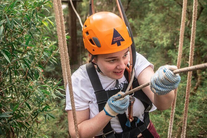 Explore Ourimbah State Forest Tree Ropes Course - Ziplines and Flying Foxes