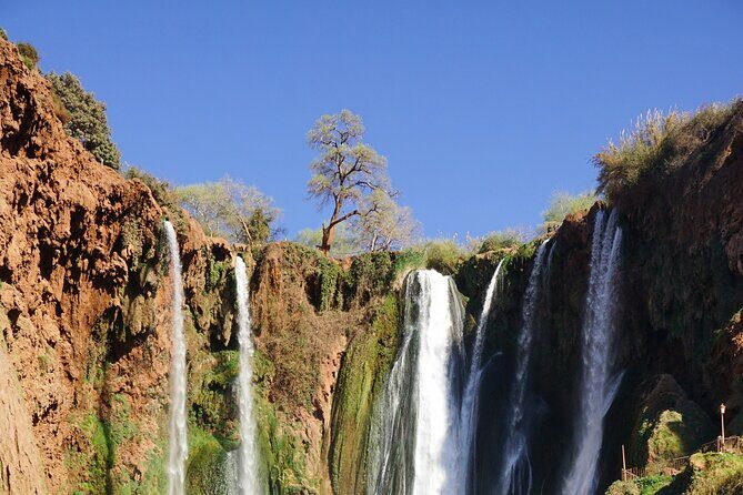 Explore Ouzoud waterfalls Marrakech Guided Hike & Boat Experience - Lunch with a View