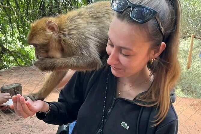 Explore Ouzoud waterfalls Marrakech Guided Hike & Boat Experience - The Boat Ride: A Refreshing Perspective