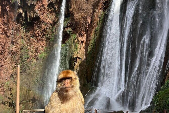 Explore Ouzoud waterfalls Marrakech Guided Hike & Boat Experience - Transportation and Group Size
