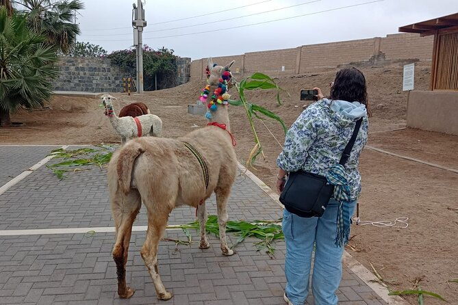 explore-pachacamac-sanctuary-and-its-pyramids