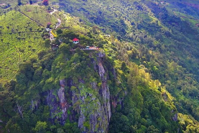 Explore Palani Murugan Temple From Coimbatore - Who Is This Tour Best For?
