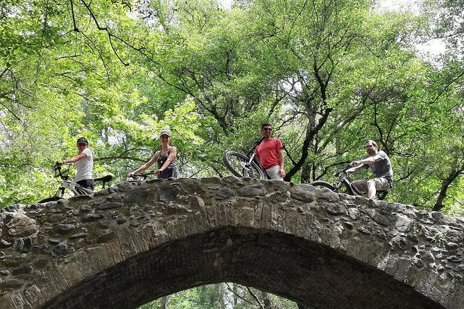 explore-paphos-forest-with-e-mountain-bikes