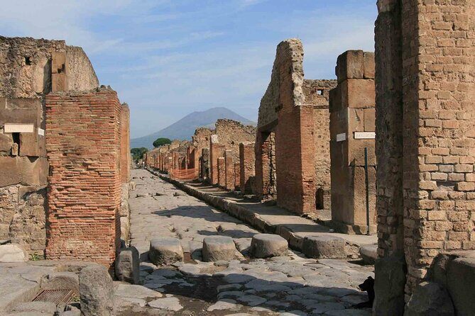 Explore Pompeii & Amalfi in One Day from Naples with Free Time - FAQs