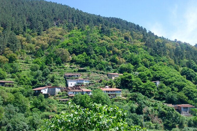 explore-ribeira-sacra-by-boat-unique-excursion-from-santiago-2
