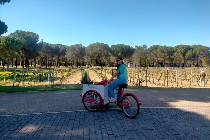 explore-ribera-del-duero-and-visit-3-wineries-with-madrid-pickup-2