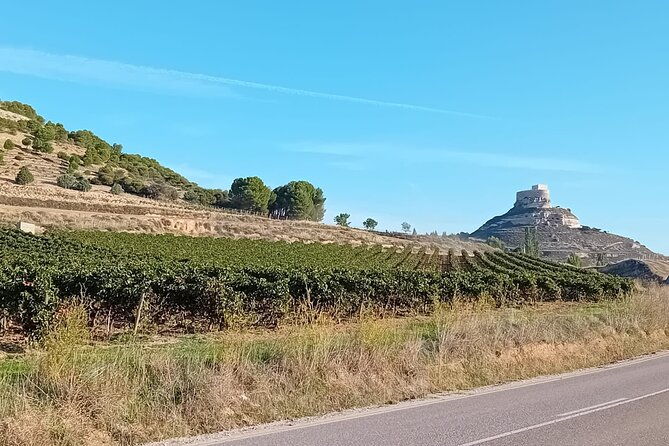 explore-ribera-del-duero-and-visit-3-wineries-with-madrid-pickup