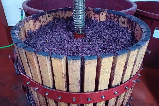 explore-ribera-del-duero-and-visit-3-wineries-with-madrid-pickup