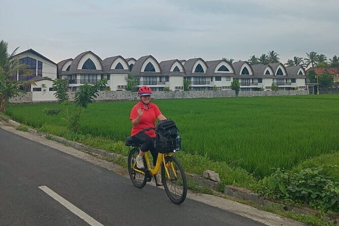 Explore Rice Fields and Hidden Villages with Ubud E-Bike Tour - Key Points