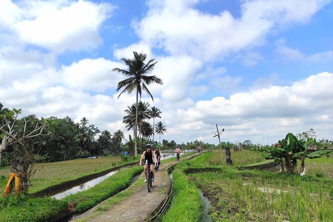 Explore Rice Fields and Hidden Villages with Ubud E-Bike Tour - Potential Drawbacks or Considerations